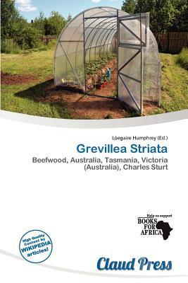 Grevillea Striata