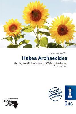 Hakea Archaeoides