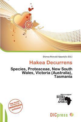 Hakea Decurrens