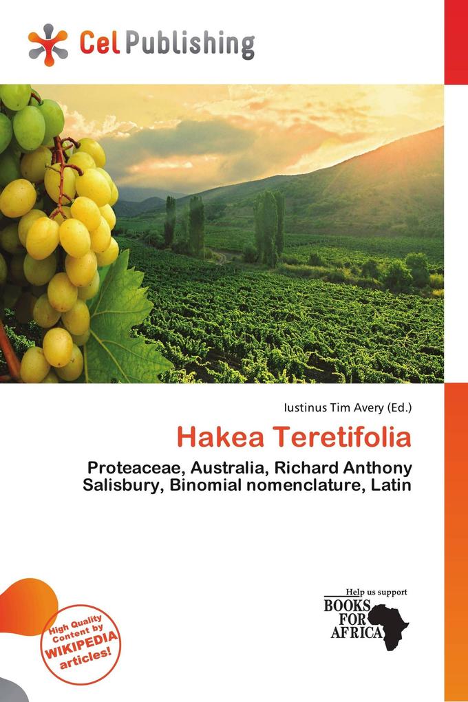 Hakea Teretifolia