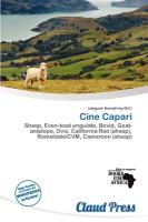 Cine Capari