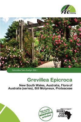 Grevillea Epicroca
