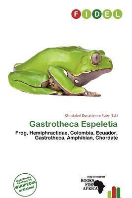 Gastrotheca Espeletia