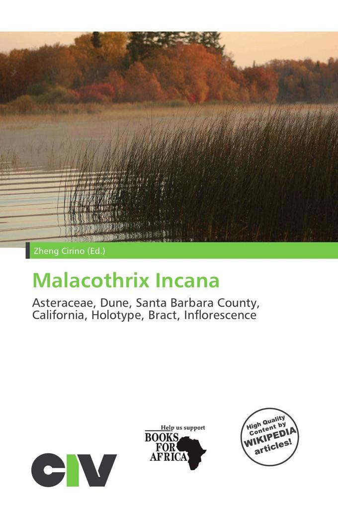 Malacothrix Incana