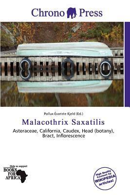Malacothrix Saxatilis