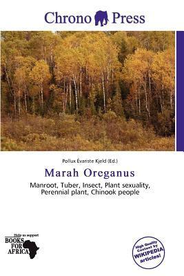 Marah Oreganus