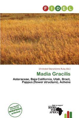 Madia Gracilis