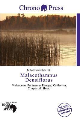 Malacothamnus Densiflorus