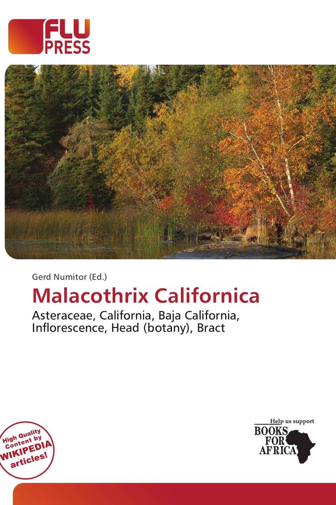 Malacothrix Californica