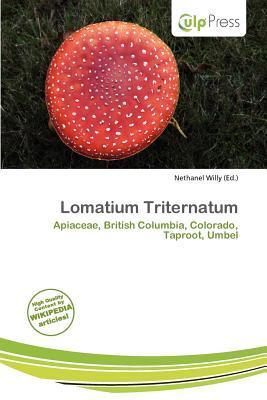 Lomatium Triternatum
