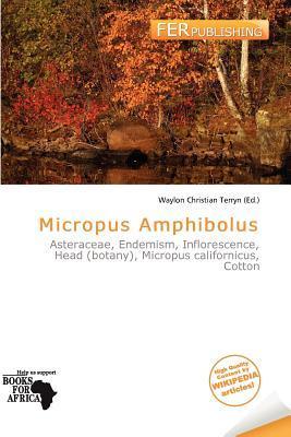 Micropus Amphibolus