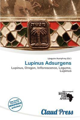 Lupinus Adsurgens
