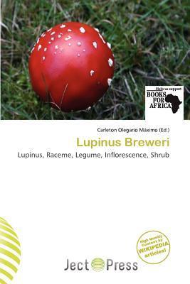 Lupinus Breweri