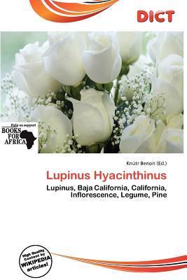 Lupinus Hyacinthinus