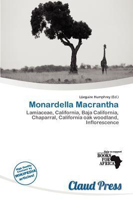 Monardella Macrantha