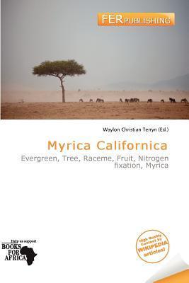 Myrica Californica