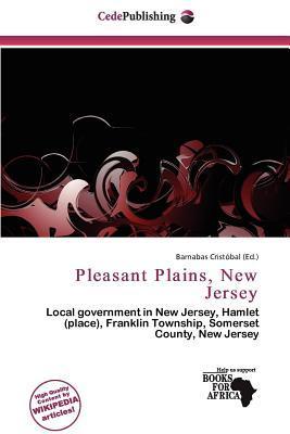 Pleasant Plains New Jersey