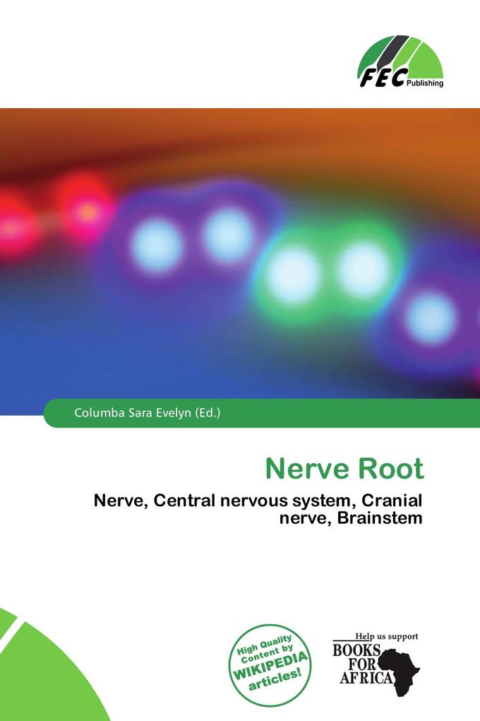Nerve Root