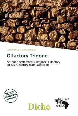 Olfactory Trigone