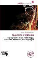 Superior Colliculus