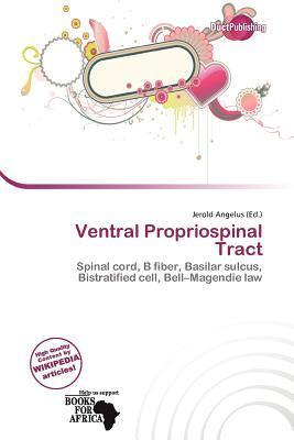 Ventral Propriospinal Tract
