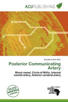 Posterior Communicating Artery