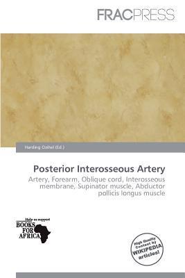 Posterior Interosseous Artery