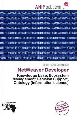 NetWeaver Developer