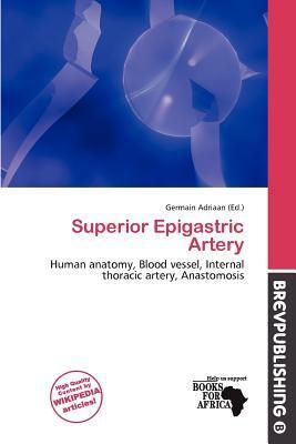Superior Epigastric Artery