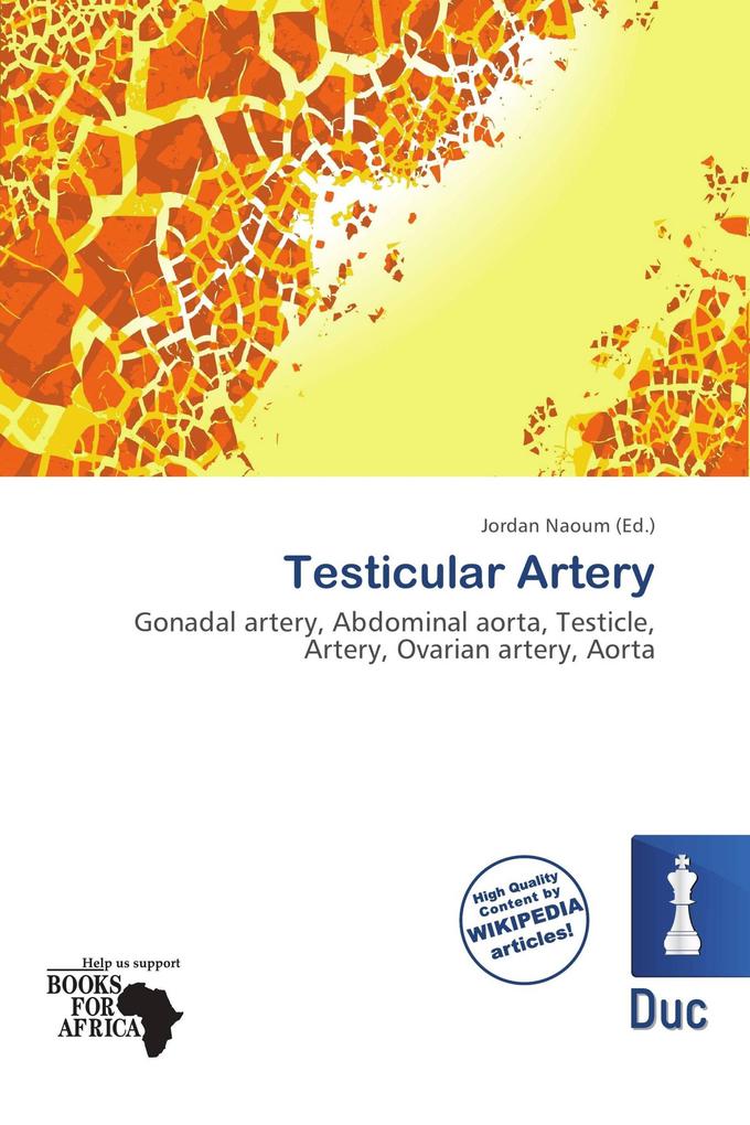 Testicular Artery