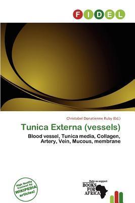 Tunica Externa (vessels)