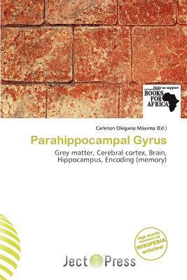 Parahippocampal Gyrus