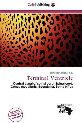 Terminal Ventricle