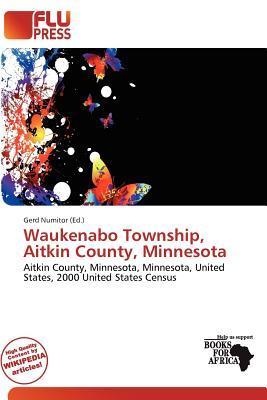 Waukenabo Township Aitkin County Minnesota