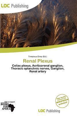 Renal Plexus