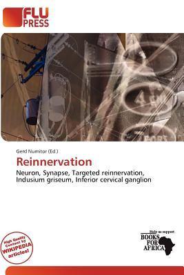 Reinnervation