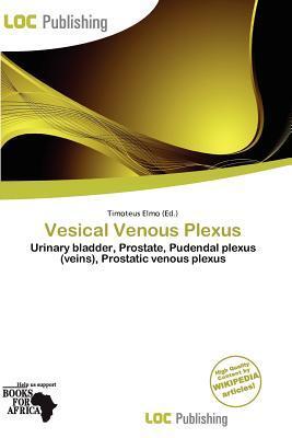 Vesical Venous Plexus