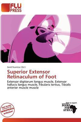 Superior Extensor Retinaculum of Foot