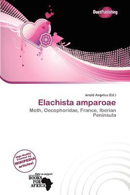 Elachista amparoae