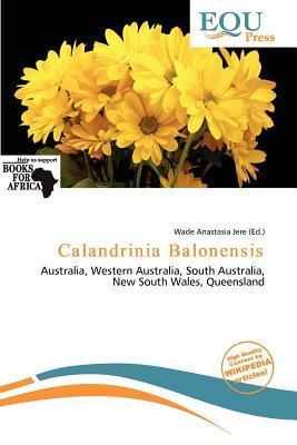 Calandrinia Balonensis
