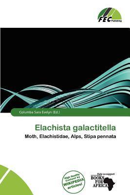 Elachista galactitella