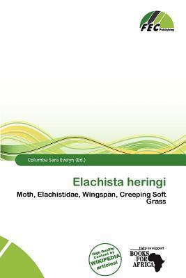 Elachista heringi