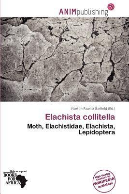 Elachista collitella