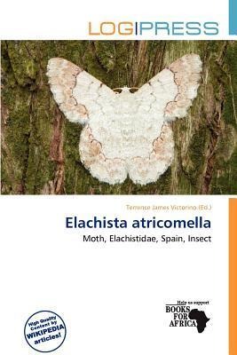 Elachista atricomella