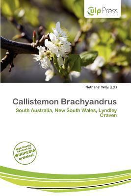 Callistemon Brachyandrus