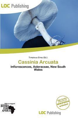 Cassinia Arcuata