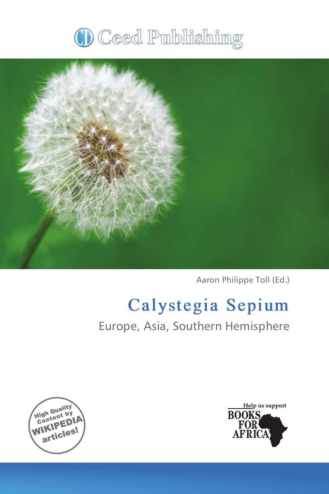 Calystegia Sepium