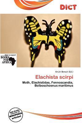 Elachista scirpi