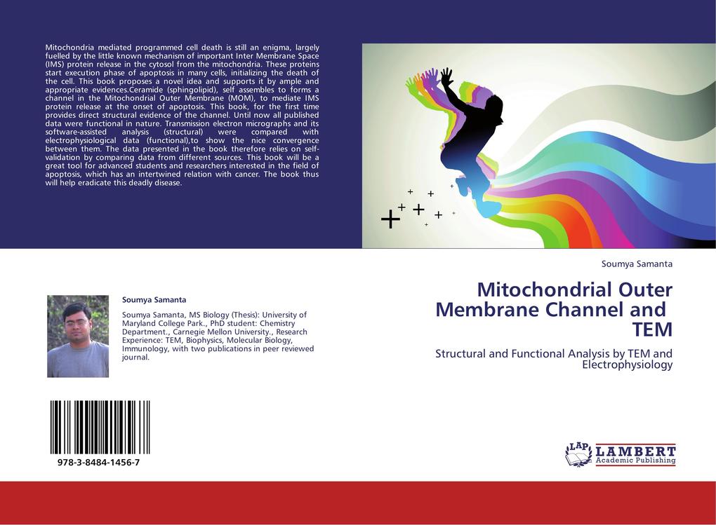 Mitochondrial Outer Membrane Channel and TEM