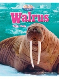 Walrus als eBook Download von Stephen Person - Stephen Person